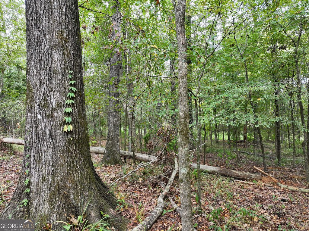Picture 30