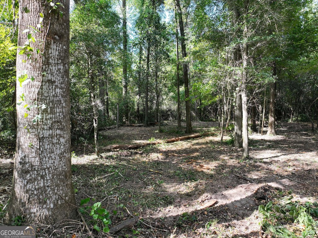 Picture 47