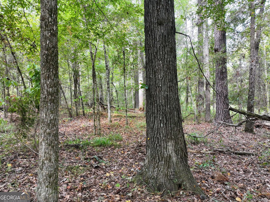 Picture 35