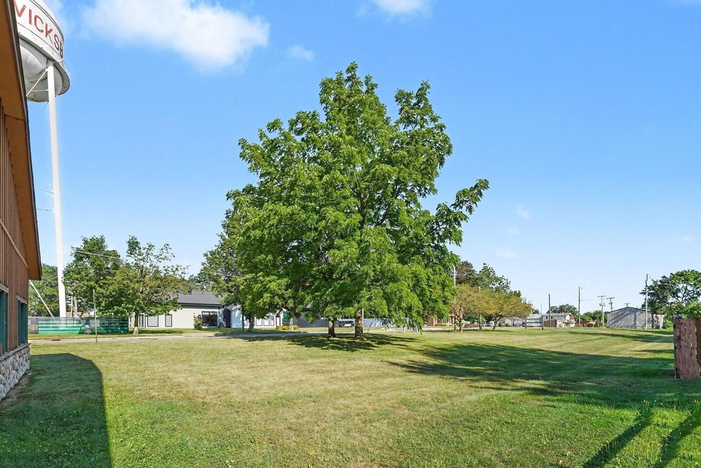 Picture 15