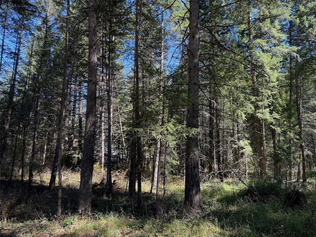 Picture 17