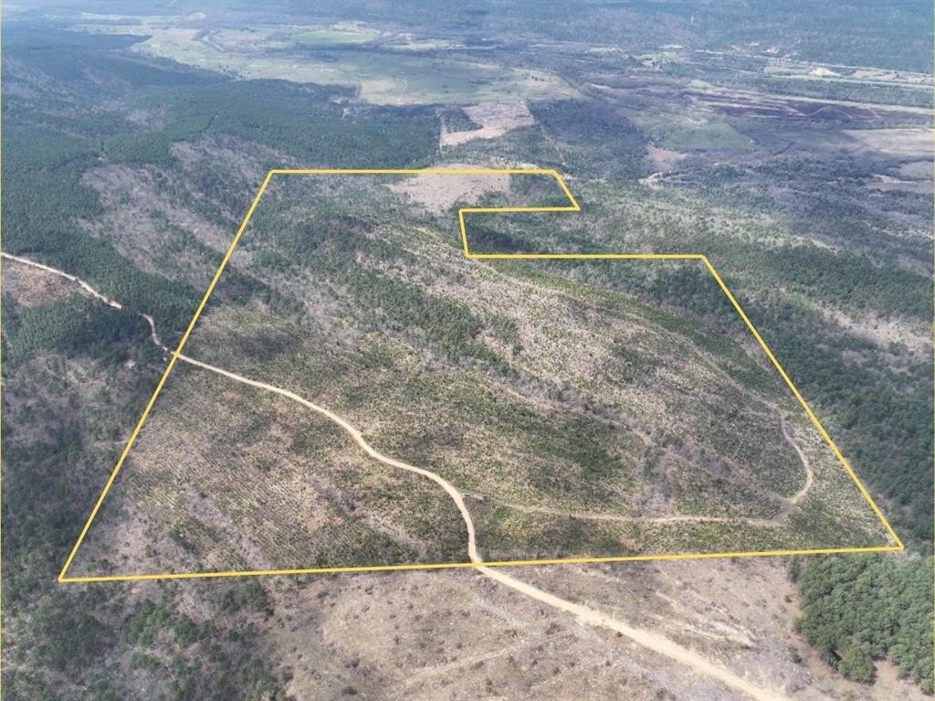 260 Acres of Wildlife Paradise