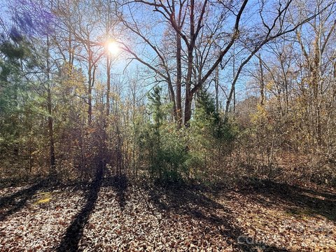 Residential Homesite with Utilities