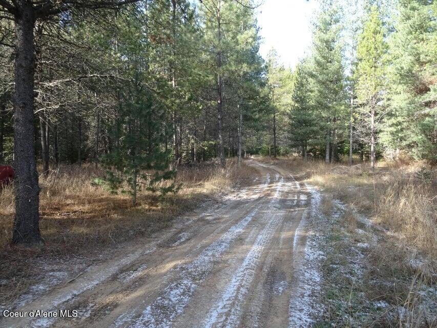Priest River Timbered Land Parcel