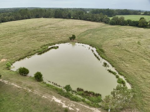 Land, Samson, AL