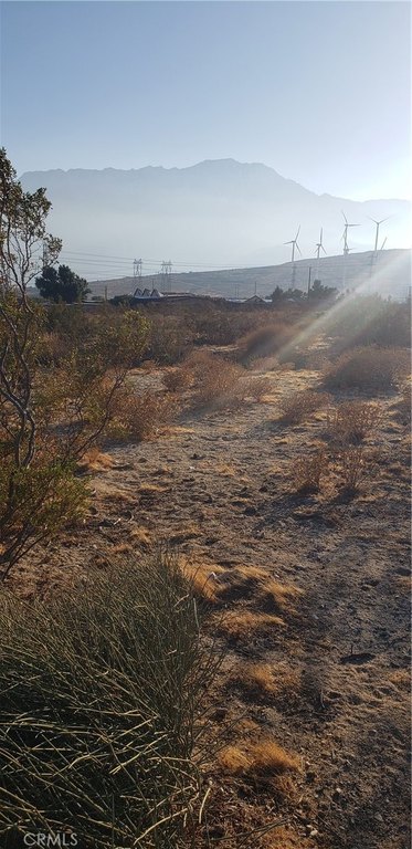 Picture 10