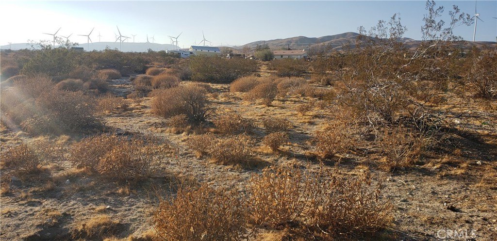 Picture 23