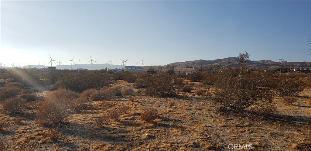 Picture 30