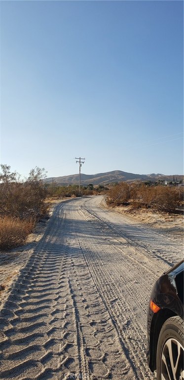 Picture 3