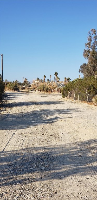 Picture 8