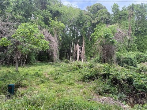 Land in Craddockville, Virginia