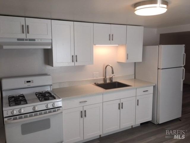 Picture 14