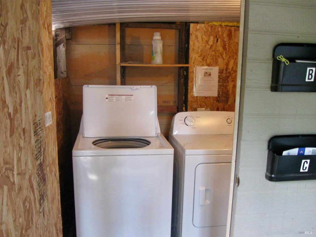 Picture 23