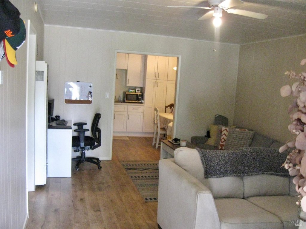 Picture 25