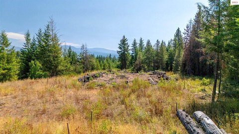 Mountain Hunting Land