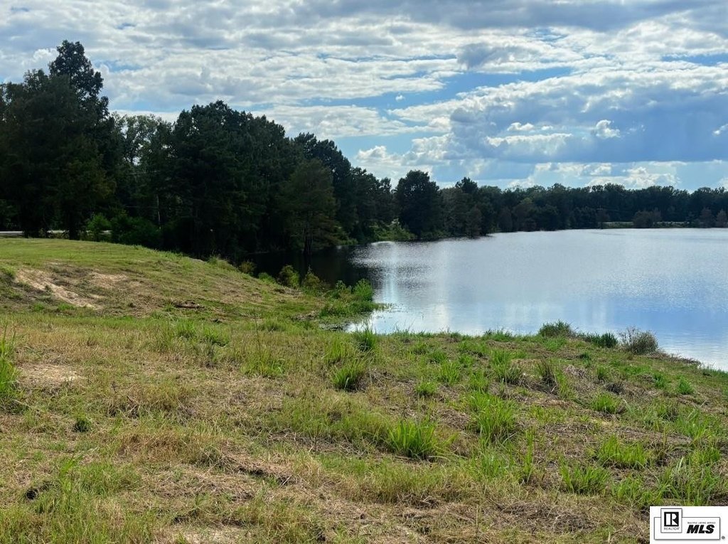 Picture 4