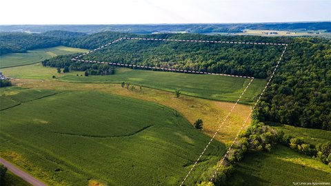 Wooded Hunting Land