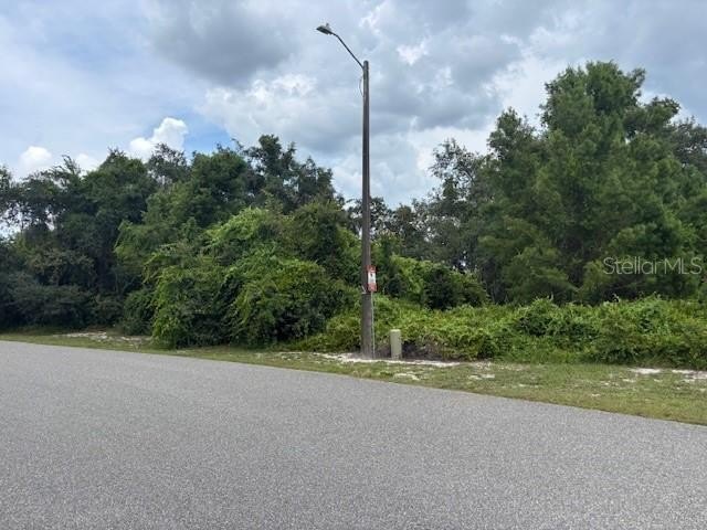 Lake Marion Waterfront Homesite Opportunity