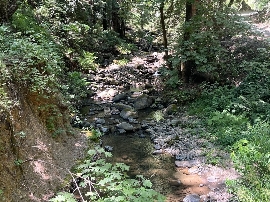 Picture 42