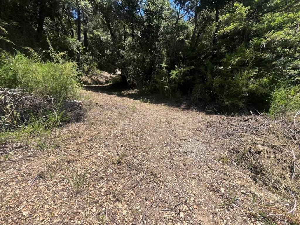 Picture 16