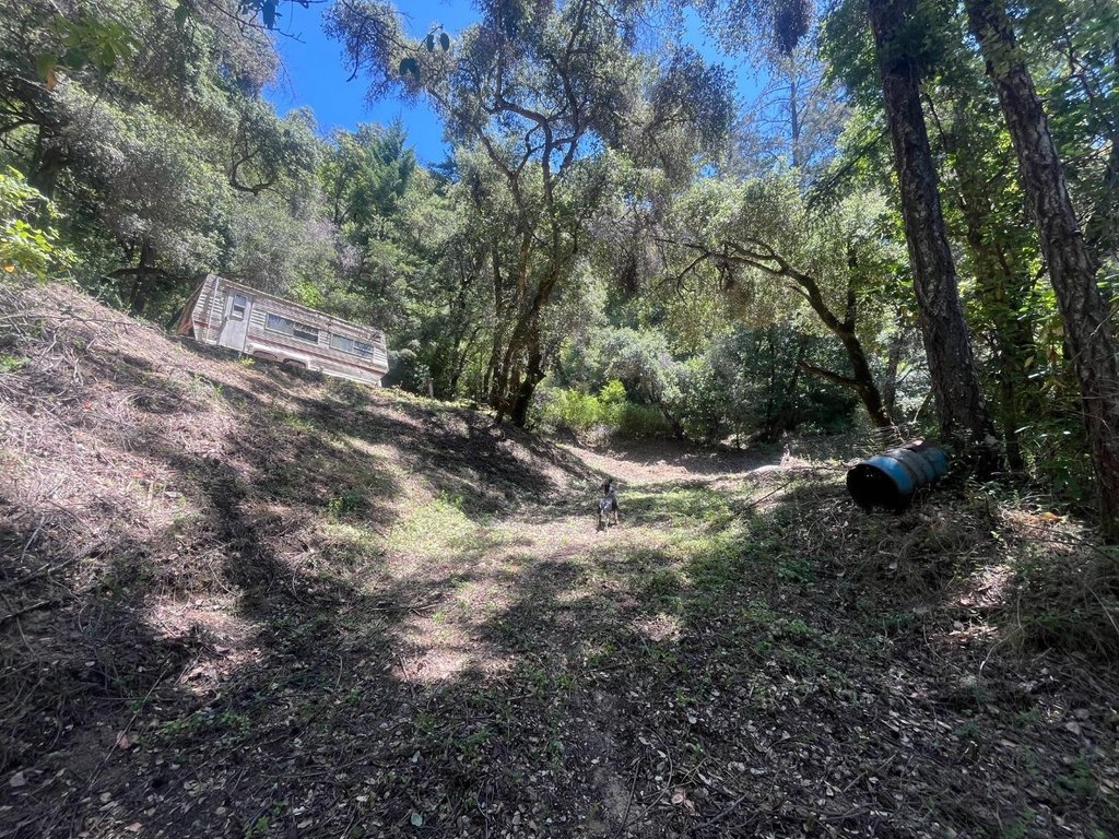 Picture 18