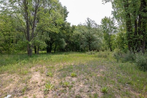 Land, Cedar Springs, MI