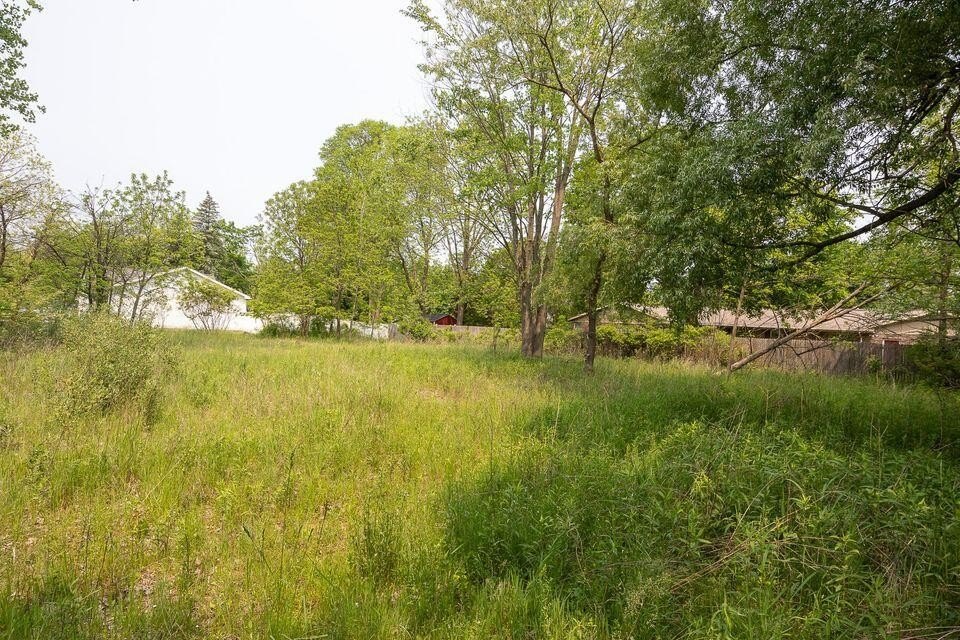 Picture 3
