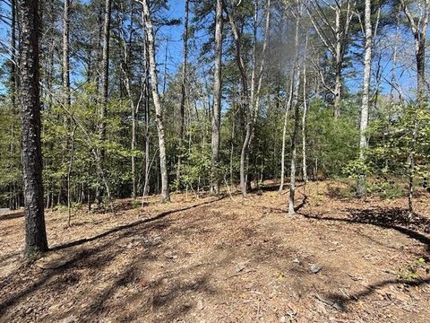 Wooded Lot in Murphy, NC