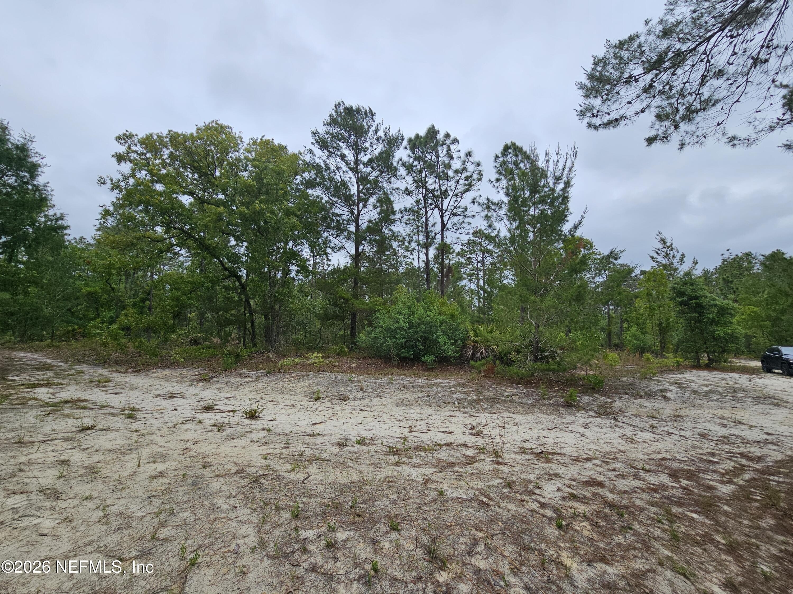 Secluded Land in Palatka, FL