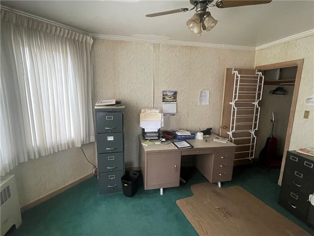 Picture 31