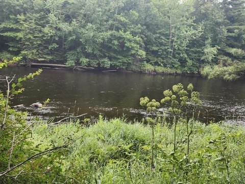 Ogema, WI Riverfront Land