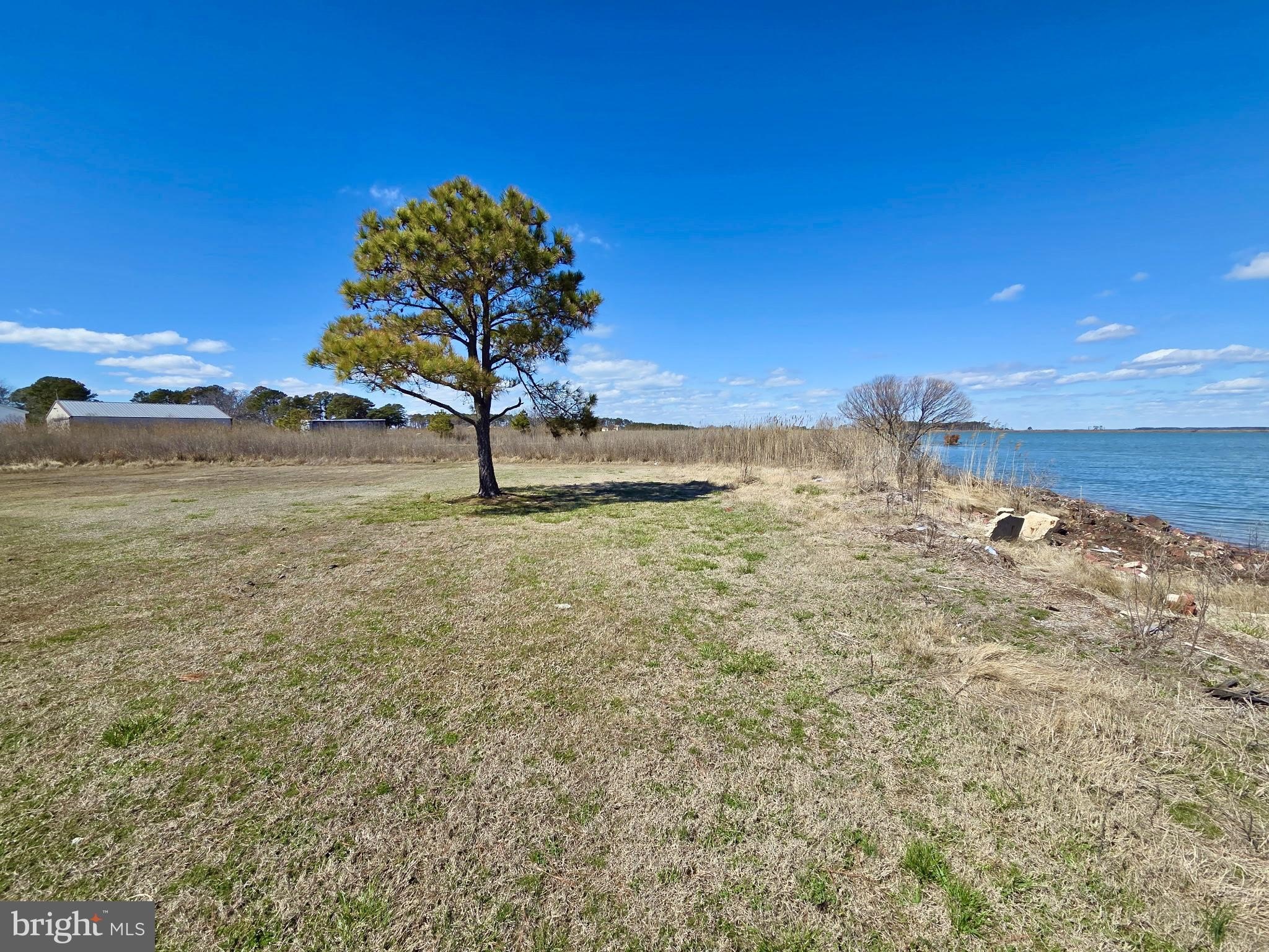 Waterfront Land on Honga River