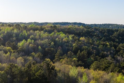 Hunting and Recreation Land Tract