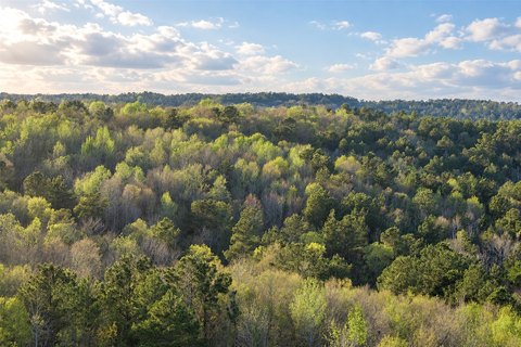 Hunting Land with Trail System