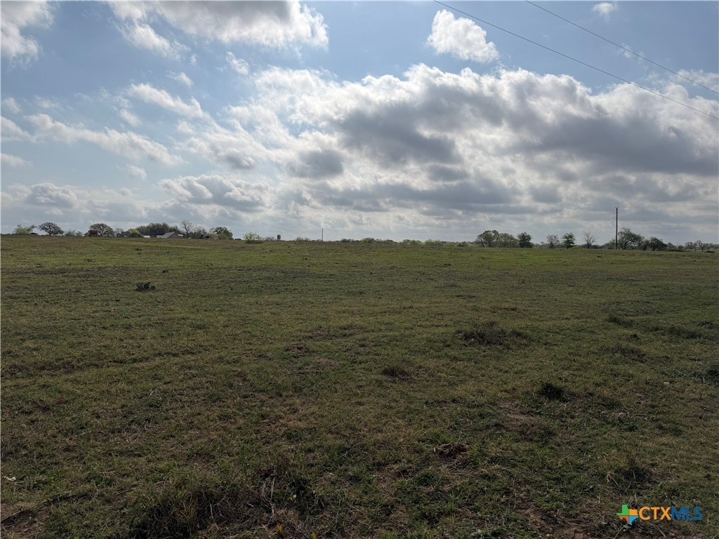 Picture 14