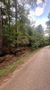 12 Acres Timberland South Brightstar