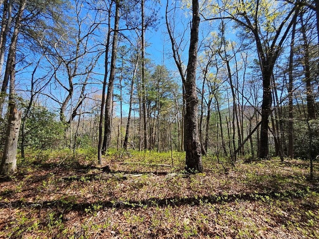 Blue Ridge Vacant Lot