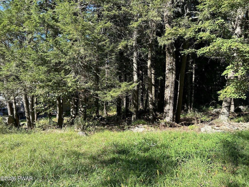 Picture 16