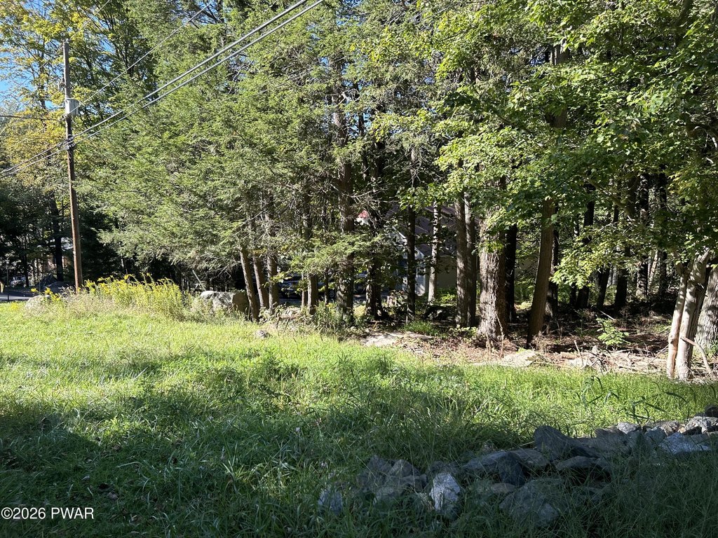 Picture 18