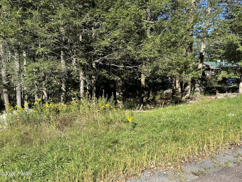 Picture 14