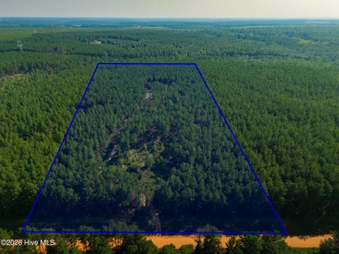 LAND - Keysville, GA