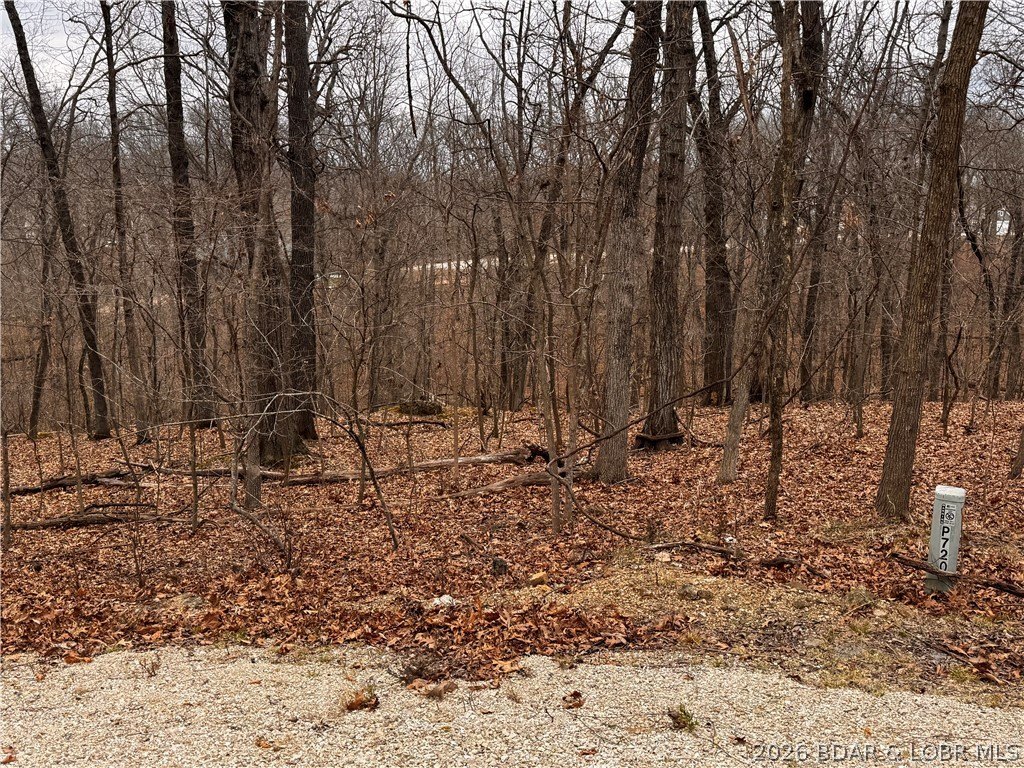Four Seasons Double Lot