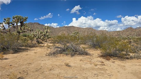 Land, Yucca, AZ