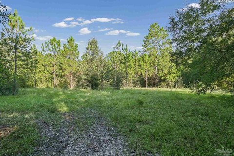 Land, Pace, FL