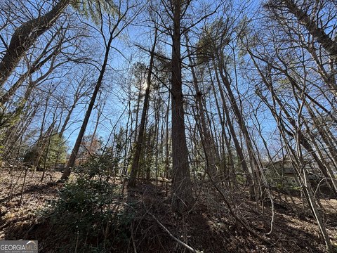 Wooded Lot in Waterfront Community