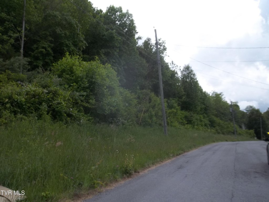 Picture 8