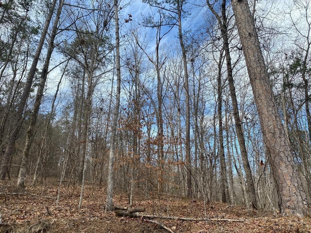 Land For Sale Near Smith Lake