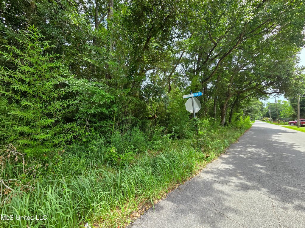 Picture 5