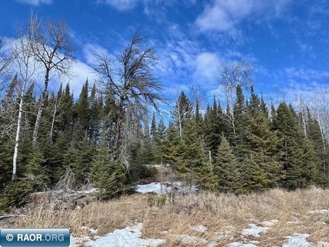 Tower, MN Wooded Land Parcel