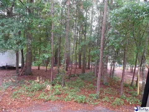 Residential Lot in Hartsville, SC
